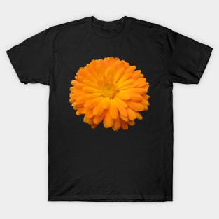 orange flower, blossom, bloom, petal, garden T-Shirt